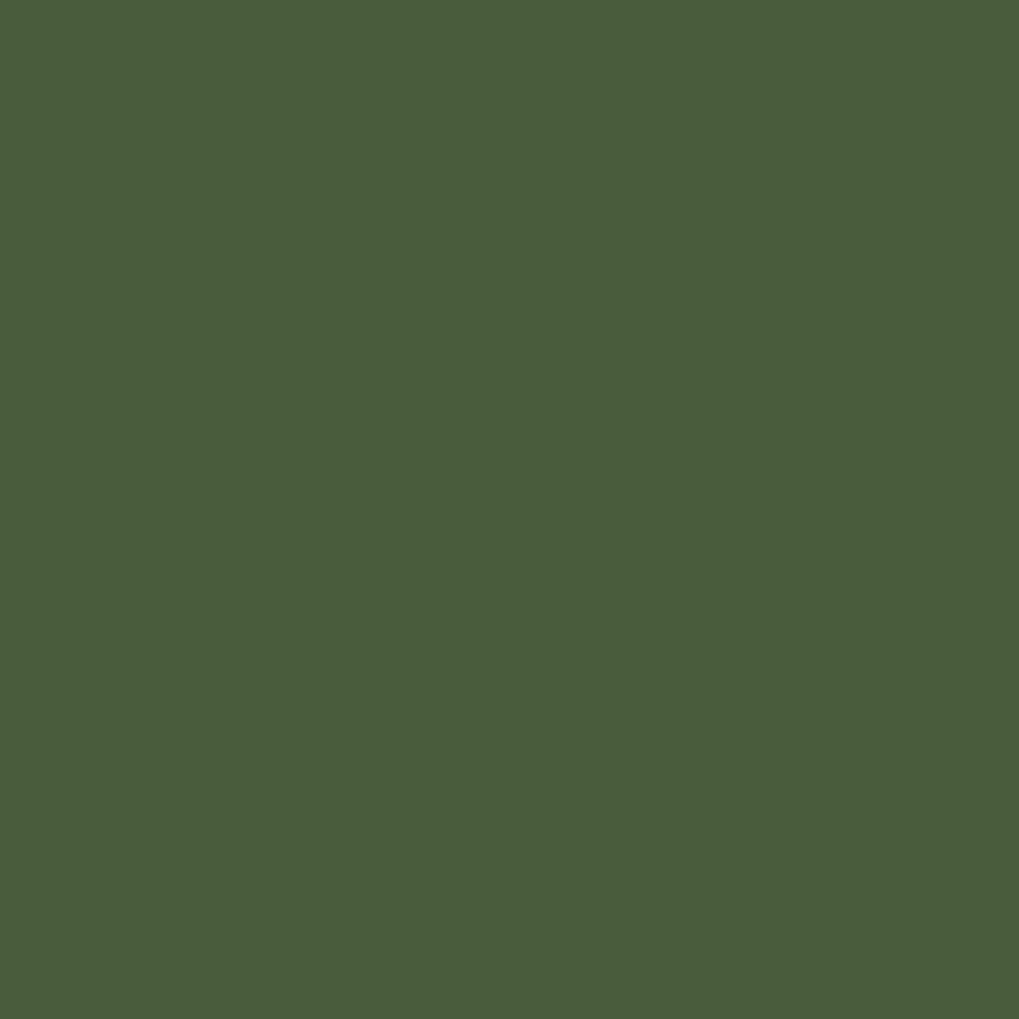 Russian Green Modern MIOMMP032 Plastics Paint Acrylic - WORLD TIME VISITS