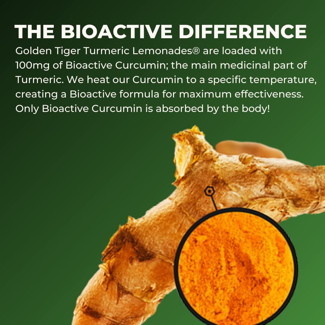 Organic Turmeric Lemonade with Green Tea - Bio Active Curcumin + Green Tea + Ginger - 12 Bottles - Recover with Plant Based Power - 20 Calories