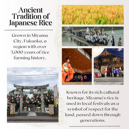 [WASHOKU MATSUO] Nikomaru: Rare Japanese Rice Born from Koshihikari – Premium Short Grain White Rice, Rich in Tradition, 4.4 Lb.