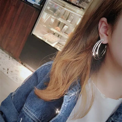 Exquisite European and American fashion female jewelry  Silver/Gold Diamond Earrings romantic Valentine's Day gift engagement Earrings wedding Earrings anniversary women's jewelry