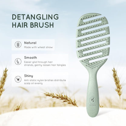 Detangler Hairbrush, Vented Detangling Brush for Curly, Thick, and Straight Hair, Dry and Wet, Quick Smoothing for Women and Men, Eco-Friendly & Sustainable Material (Green)