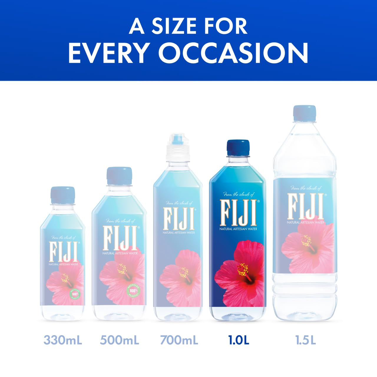 Natural Artesian Bottled Water 1 Liter / 33.8 Fl Ounce (Pack of 6)