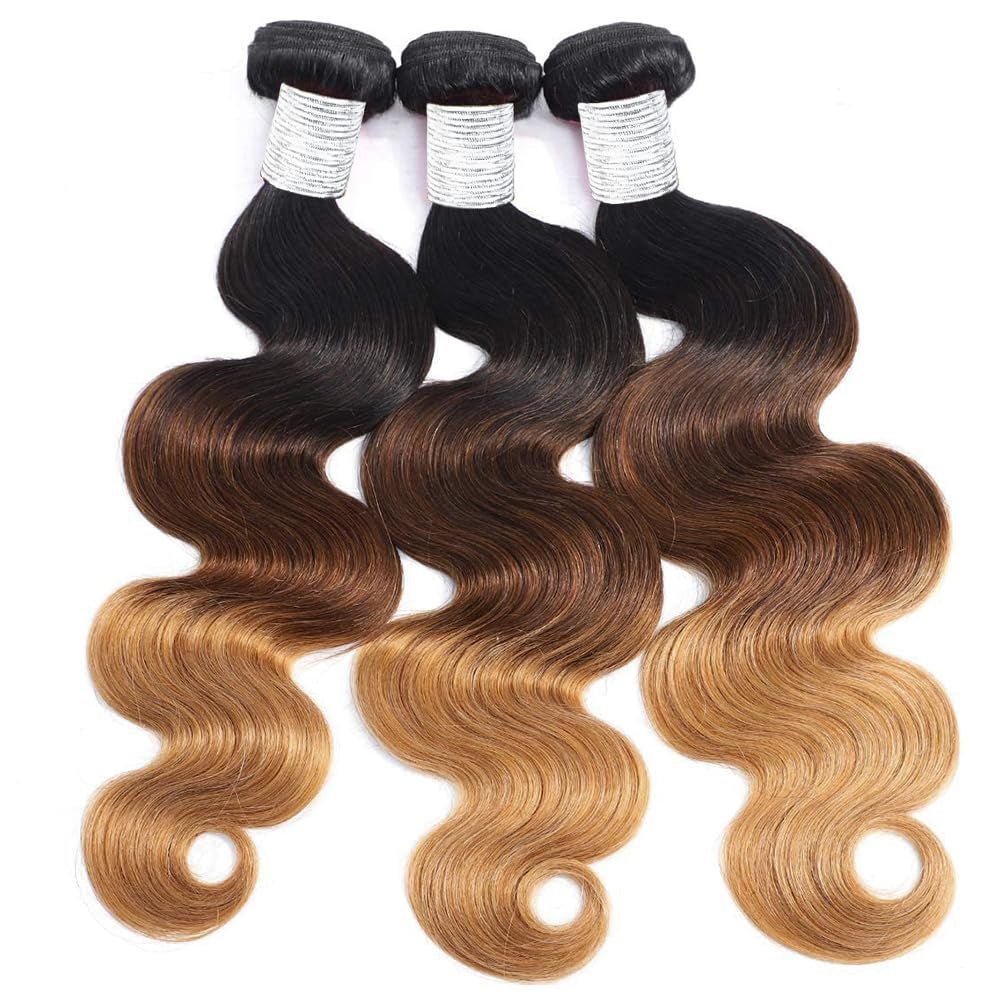 10A Ombre Human Hair Bundles 100% Unprocessed Virgin Human Hair Extensions 3 Tone 1B 4 27 Color Ombre Brazilian Body Wave Hair Bundles for Women - WORLD TIME VISITS