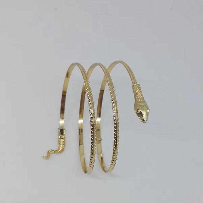 12/8/5/3/2/1Pcs:ashion personality Snake Bracelet, metal snake bracelet, gold and silver available - WORLD TIME VISITS