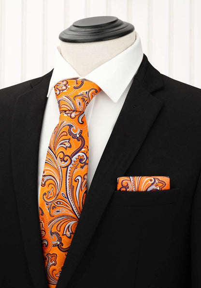 Mens Ties Set 5PCS Collection Tie with Pocket Sqaure Formal Business Necktie Present Box Neckties Set for Men