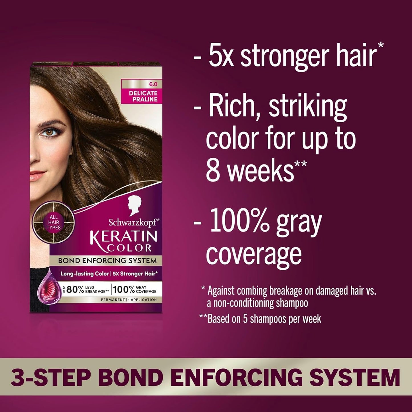 Keratin Permanent Hair Color, 6.0 Delicate Praline, 1 Application - Professionally Inspired Permanent Hair Dye, for up to 80% Less Breakage Vs Untreated Hair and up to 100% Gray Coverage