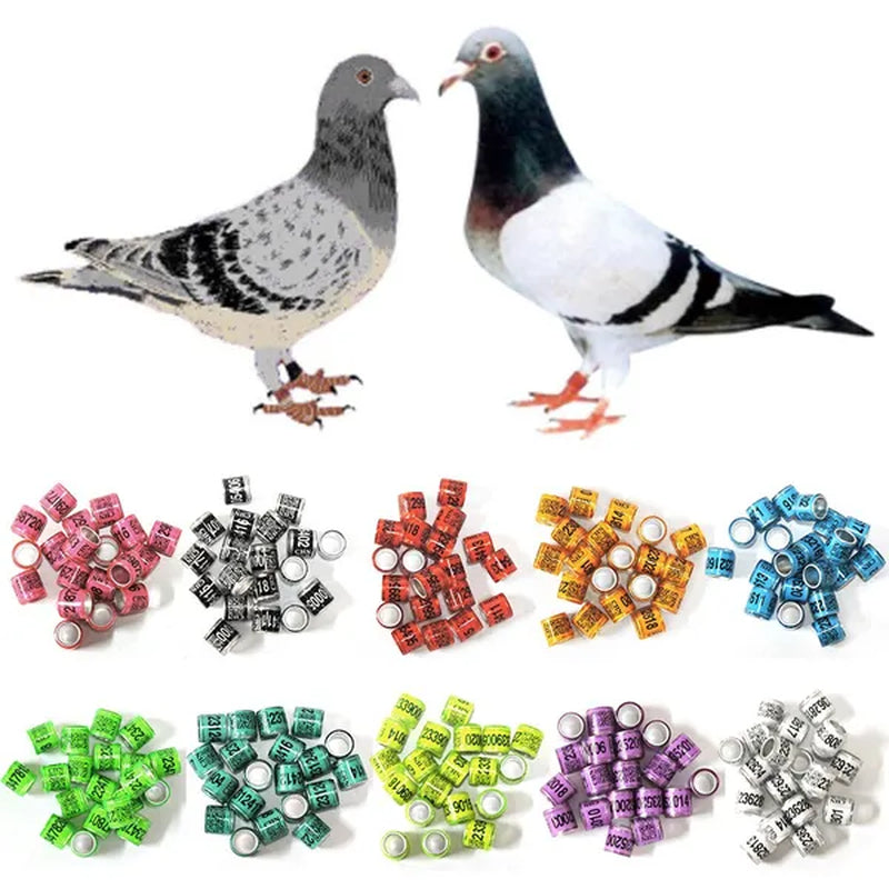 50 Pcs Mixed Color Dove Bands Bird Foot Ring Species Identify Training Rings Pet Bird Label Sign for Pigeon Dove Chicks Small Poultry Pet Supplies ZIO