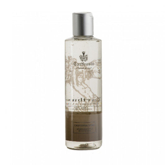 Men Shower Gel 250Ml - WORLD TIME VISITS