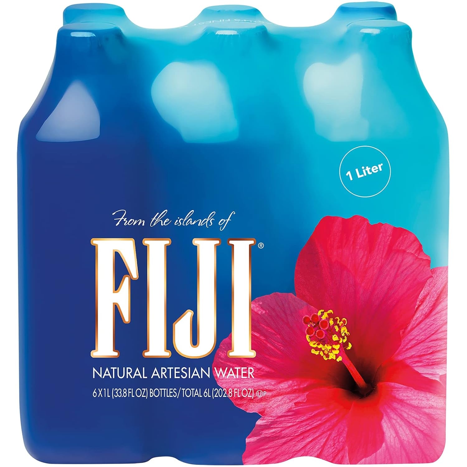 Natural Artesian Bottled Water 1 Liter / 33.8 Fl Ounce (Pack of 6) - WORLD TIME VISITS