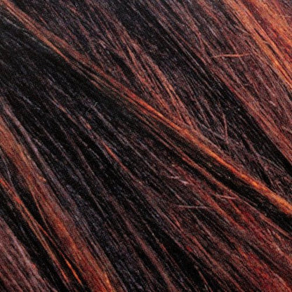 Couleur Experte 2-Step Home Hair Color and Highlights Kit, Chocolate Mousse