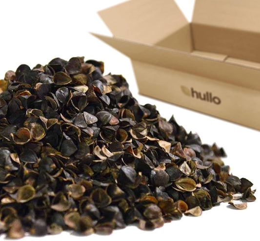 Premium Buckwheat Hulls – Pillow-Grade Buckwheat Hulls Grown & Milled in USA (5, Pounds)