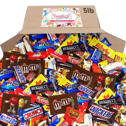 5 Lb Assorted Bulk Chocolate Candy Mix - Fun Size, Holiday, Office Assortment - WORLD TIME VISITS