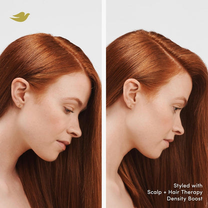 Density Boost Root Lift Thickening Spray for Fuller Hair and Scalp Therapy, with Vitamin B3, Zinc and 0% Sulfates, 5 Oz