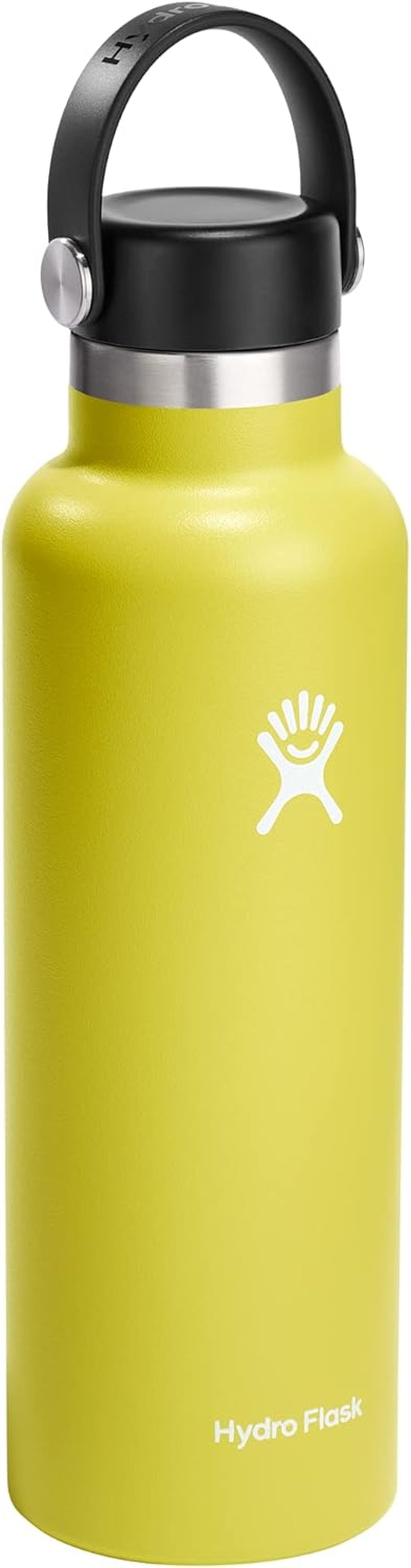 21 Oz Standard Mouth with Flex Cap Stainless Steel Reusable Water Bottle Cactus - Vacuum Insulated, Dishwasher Safe, Bpa-Free, Non-Toxic - WORLD TIME VISITS