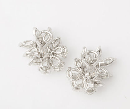 https://a.1stdibscdn.com/diamond-cluster-earrings-for-sale-picture-2/j_415/j_172984621666015948628/6R1A1301_master.jpg?width=768