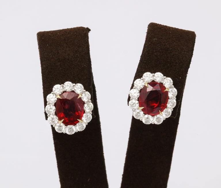 Certified Vivid Red Pigeon Blood Ruby and Diamond White Gold Earrings