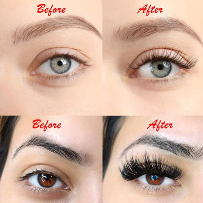 VNE Eyelashes 1000 Fans Tray Volume Lash Extensions Mixed Length | Premade Fans Eyelash Extensions | Mega Lash Extension | Promades Eyelash Fans | 10D, D Curl, 9-16Mm