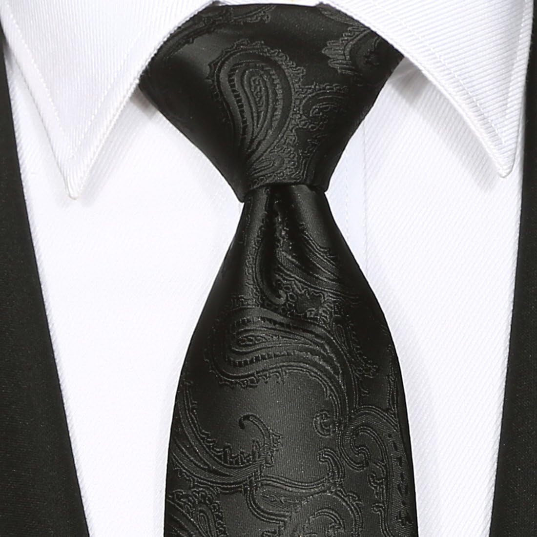 Mens Necktie Classic Paisley Event Tie + Gift Box