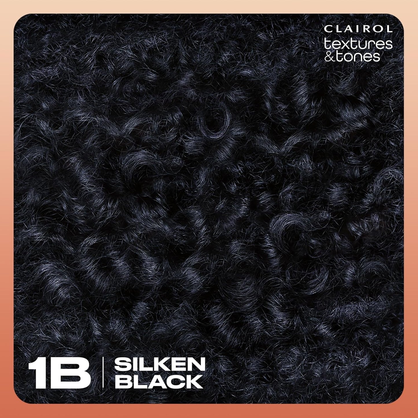 Textures & Tones Permanent Hair Dye, 1B Silken Black Hair Color, Pack of 1