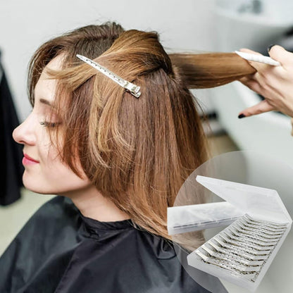 24Pcs Metal Duck Billed Hair Clips for Women Styling Sectioning, Silver Hair Pins for Long Hair, Alligator Curl Loc Clips for Thick Hair Roller, Salon, Bows DIY