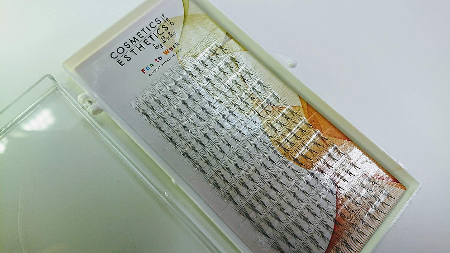 Set of 7 Trays: Eyelash Extensions Premade Russian Volume Individual Fans 6D, 0.05 Thickness, 8Mm (C Curl), 9Mm (C Curl), 10Mm (D Curl), 11Mm (D Curl), 12Mm (D Curl), 13Mm (D Curl) & 14Mm (D Curl) - WORLD TIME VISITS