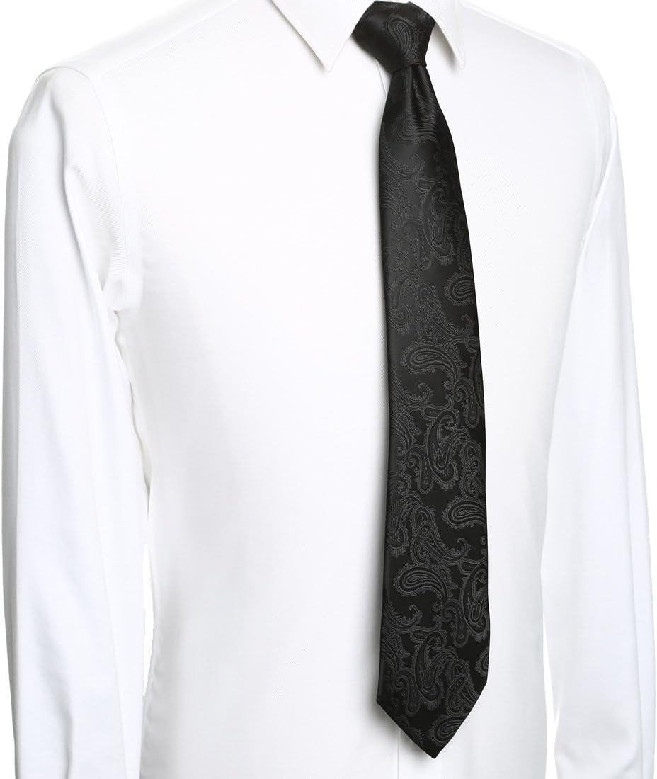 Mens Necktie Classic Paisley Event Tie + Gift Box