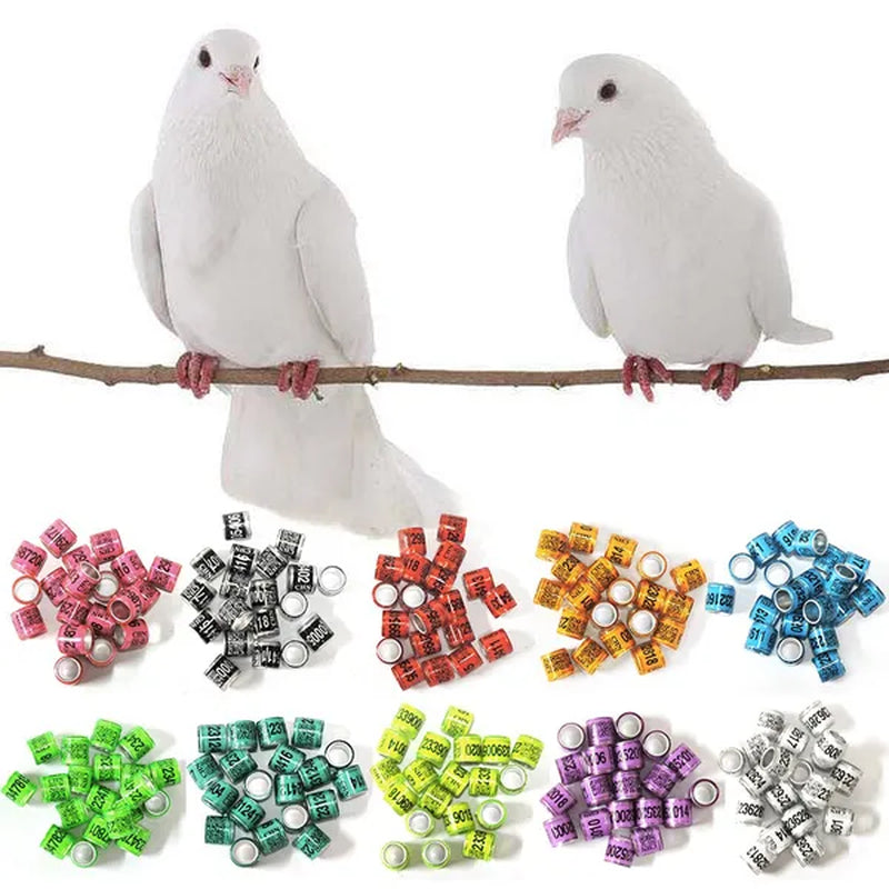 50 Pcs Mixed Color Dove Bands Bird Foot Ring Species Identify Training Rings Pet Bird Label Sign for Pigeon Dove Chicks Small Poultry Pet Supplies ZIO