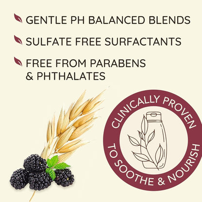 Aveeno Blackberry Quinoa Protein Blend Sulfate-Free Shampoo for Color-Treated Hair Protection, Daily Strengthening & Moisturizing Shampoo, Paraben & Dye-Free, 12 Fl Oz (Packaging May Vary)