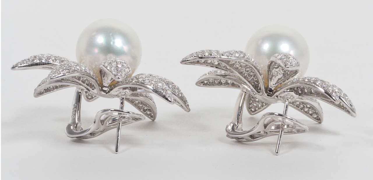 18k White Gold South Sea Pearl and Diamond Lever-Back Earrings