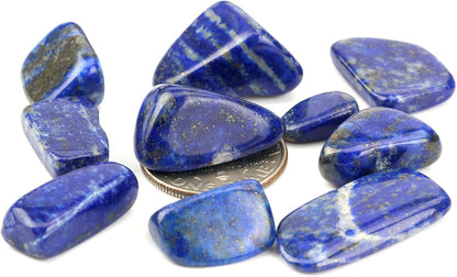 1 Lb Lapis Lazuli Tumbled Stone Chips Crushed Natural Crystal Quartz Pieces
