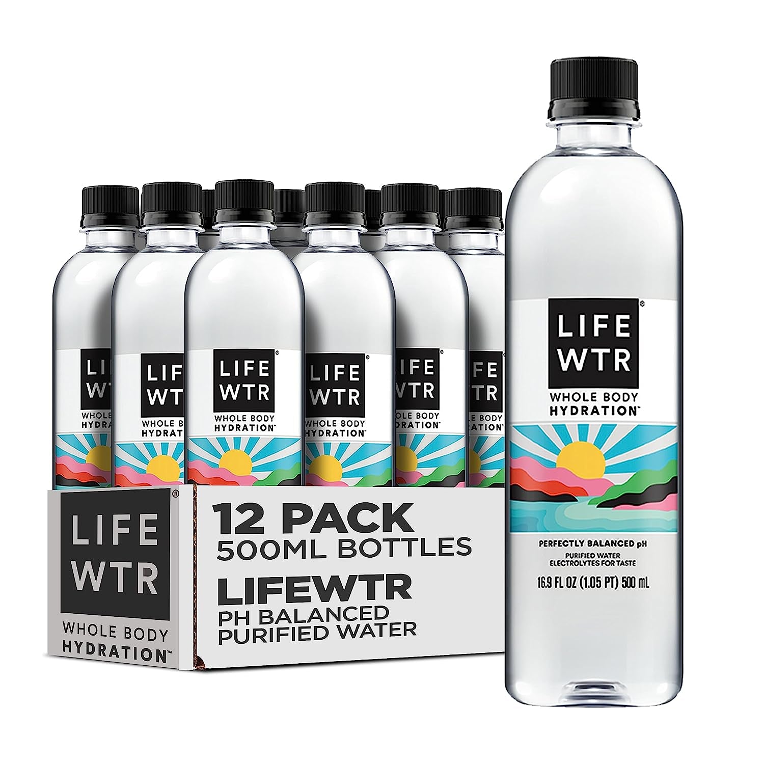 Premium Purified Water Ph Balanced with Electrolytes, 100% Recycled Plastic Bottles, 16.9 Fl Oz Bottles, 500Ml (Pack of 12) - WORLD TIME VISITS