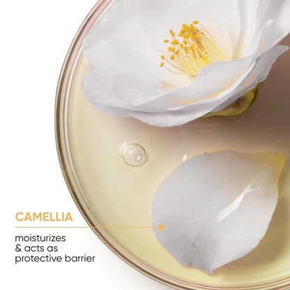 Smooth Proof Conditioner - for Frizzy Hair, Provides Humidity Control & Anti-Frizz Smoothness, Paraben-Free