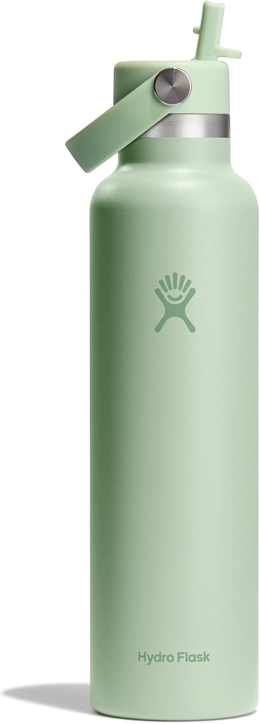 24 Oz Stainless Steel Standard Mouth Water Bottle with Flex Straw Cap and Double-Wall Vacuum Insulation - WORLD TIME VISITS