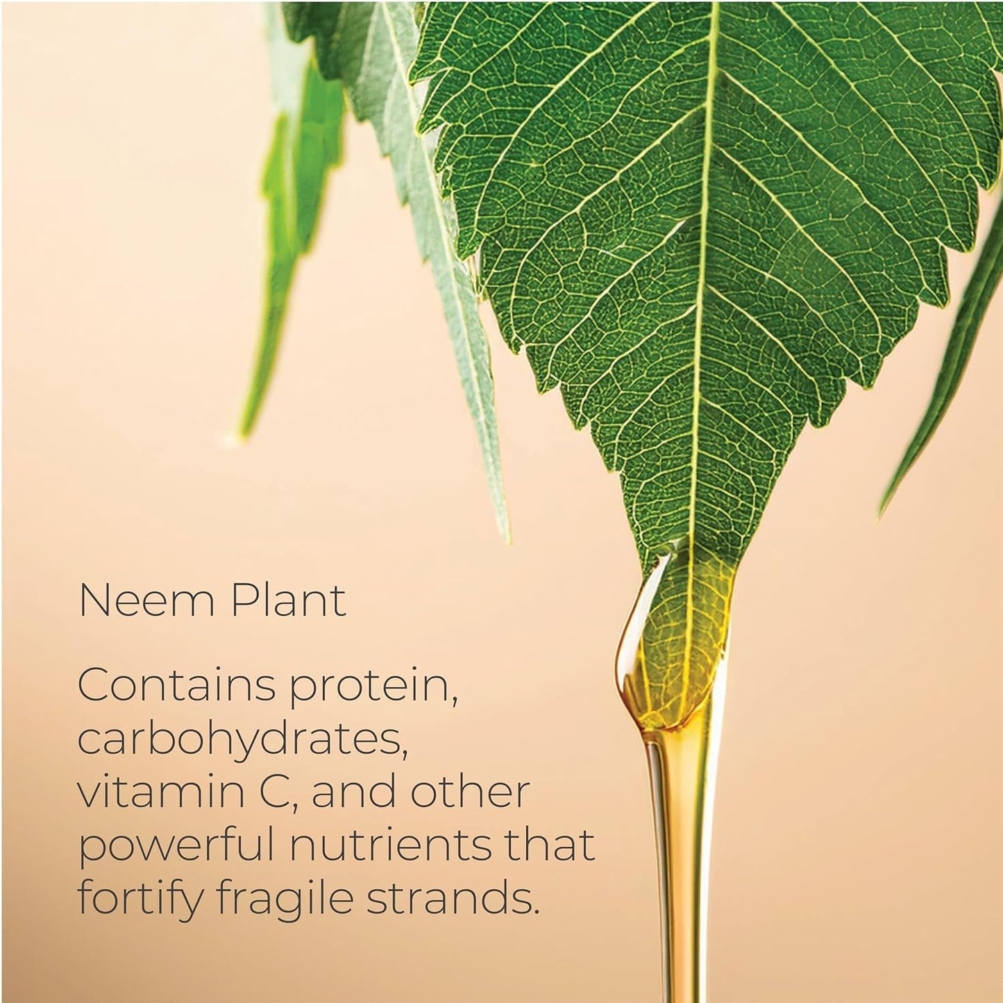 L'ANZA Healing Strength Neem Plant Silk Hair Serum, Neem Oil anti Frizz Damaged Hair Treatment, Nourishes, Strengthens, Boosts Shine, Repairs and Prevents Breakage from Split Ends (3.4 Fl Oz)