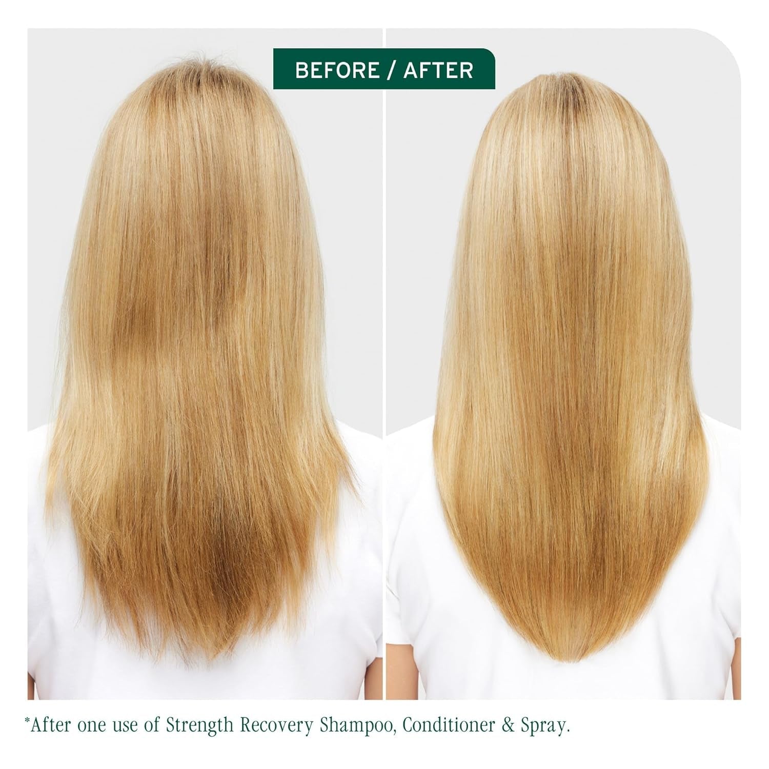 Biolage Strength Recovery Shampoo - Reduces Breakage & Detangles, for Damaged Hair, with Olive Squalane & Vegan Proteins, Paraben & Mineral Oil - Free, Packaging May Vary - WORLD TIME VISITS