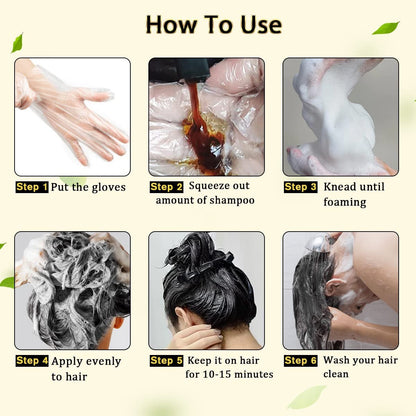 Black Hair Dye Shampoo 3 in 1 for Gray Hair, Hair Color Shampoo for Women and Men, Instant Shampoo Hair Dye-100% Grey Hair Coverage (16.9 Fl Oz)