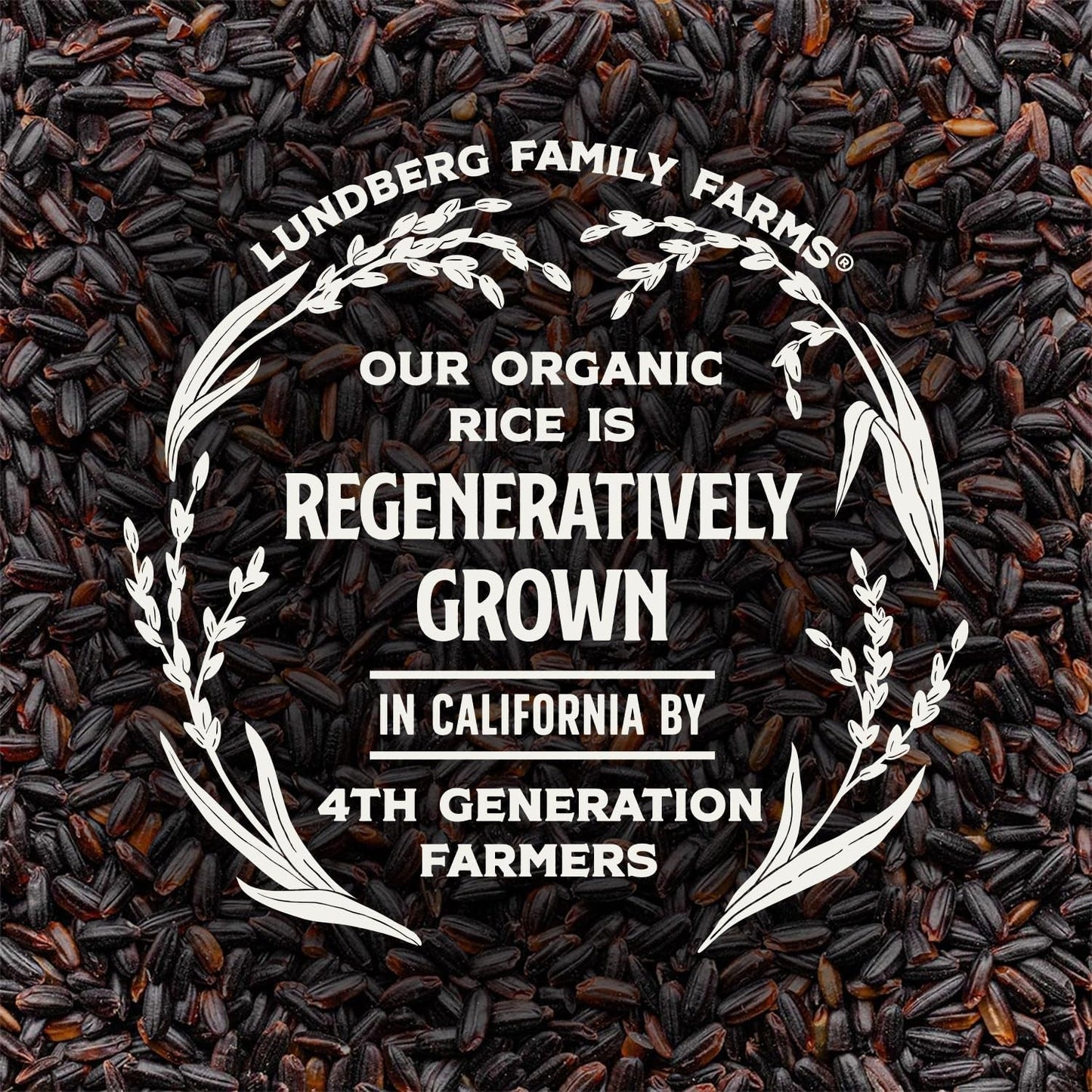 Black Pearl Rice, Regenerative Organic Certified – Full-Bodied Black Rice, Responsibly Grown in California, 16 Oz