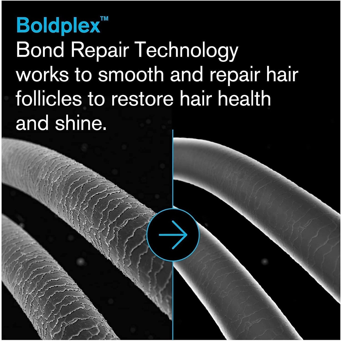 Boldplex 6 Hair Serum - Hydrating Leave in Protein Treatment for Frizzy, Dry, Damaged, Broken, Curly, Straight or Bleached Hair Types - Paraben & Sulfate Free. Cruelty Free, 100% Vegan. 5.9 Fl.Oz