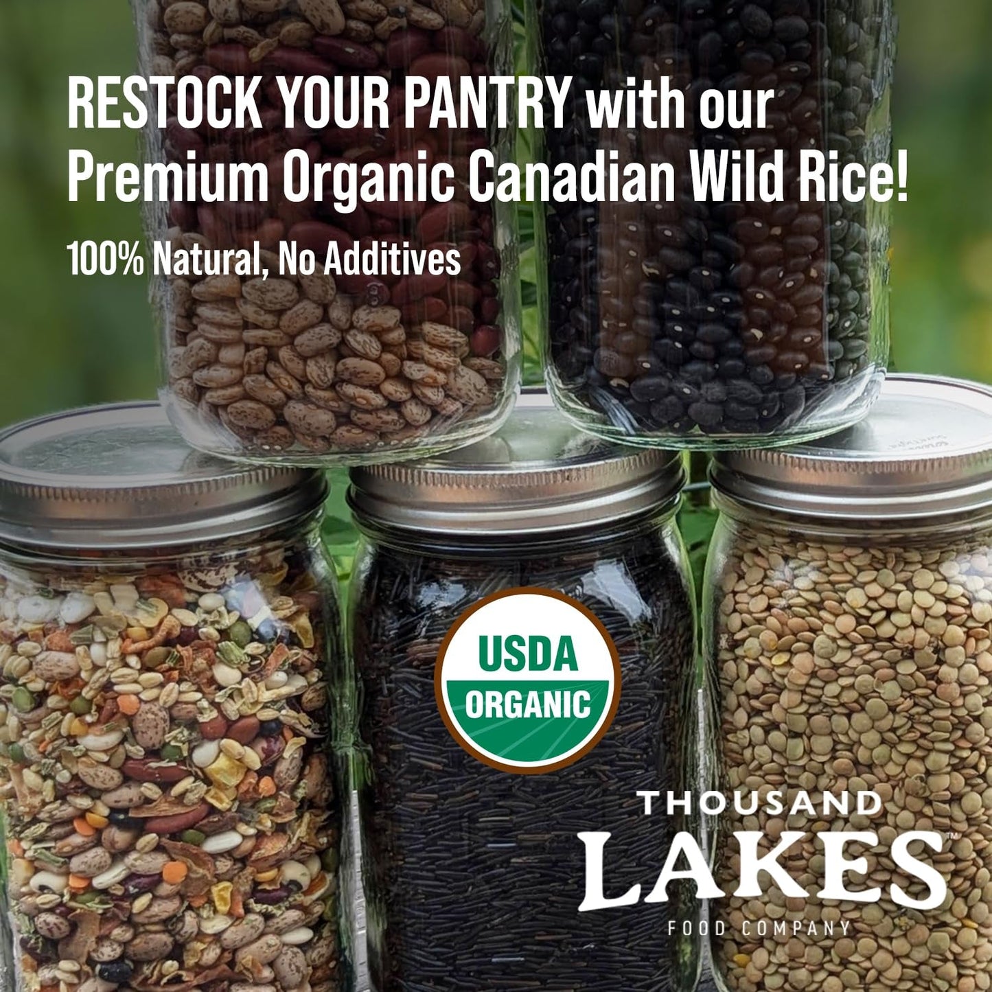 Organic Canadian Wild Rice - Premium - Bulk - 2.5 Pounds | 100% Wild Rice | Wild Harvested