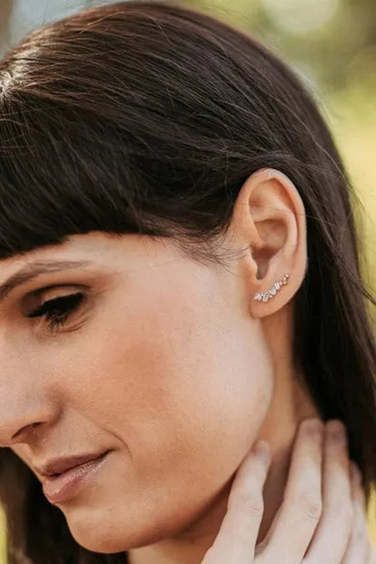 Climbing Earrings for Women Crystal Zircon Stud Earrings Girl Birthday Party Gift Jewelry - WORLD TIME VISITS