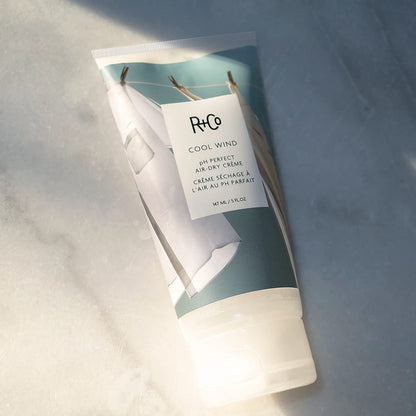 Cool Wind Ph Perfect Air Dry Hair Cream | Hydrates + Tames + Softens | Vegan + Cruelty - Free | - WORLD TIME VISITS