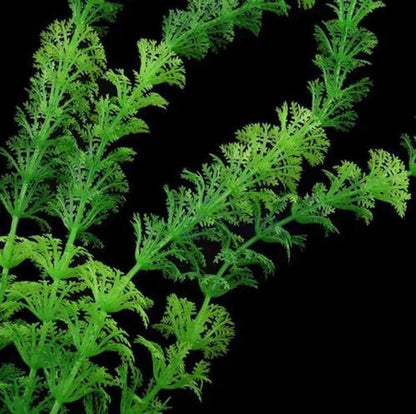 Delysia King Aquarium Fish Tank Decoration Aquatic Plants Artificial Green Grass