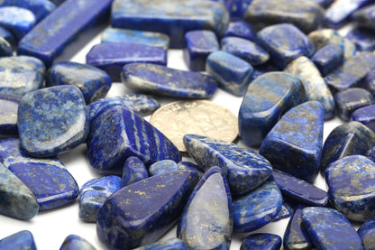 1 Lb Lapis Lazuli Tumbled Stone Chips Crushed Natural Crystal Quartz Pieces
