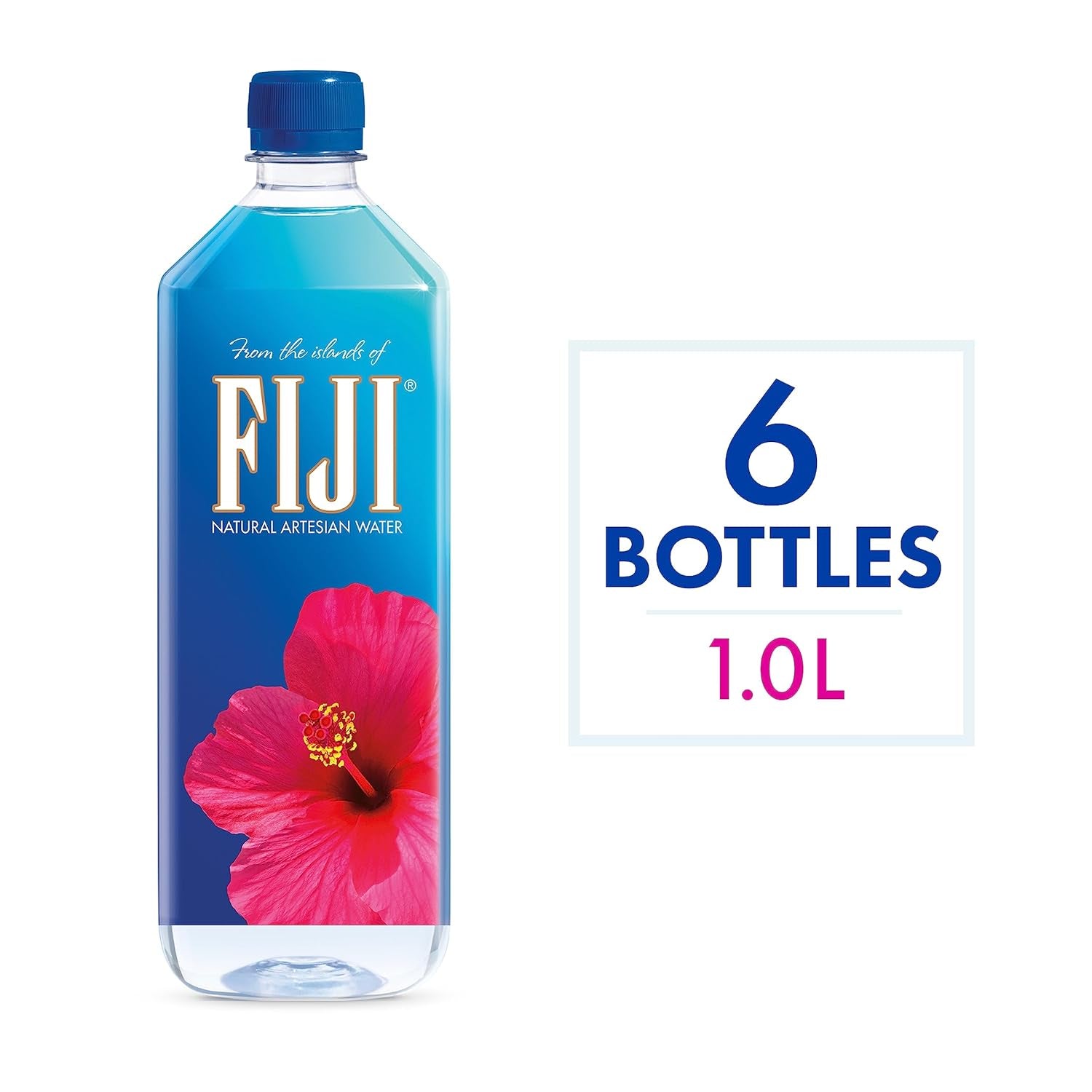Natural Artesian Bottled Water 1 Liter / 33.8 Fl Ounce (Pack of 6) - WORLD TIME VISITS