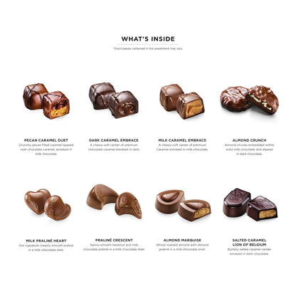 Chocolate Gift Box for Birthday, Thank You, Anniversary, Gift Basket Gold Ribbon Gourmet Nuts Dark and Milk Chocolate Candy Assortment with Praline and Caramel, 18Pc - WORLD TIME VISITS