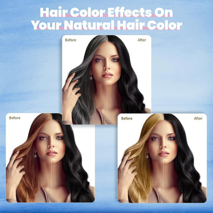 Hair Dye Shampoo for Gray Hair Coverage, 3 in 1 Natural Black Dye for Women Men, 500Ml