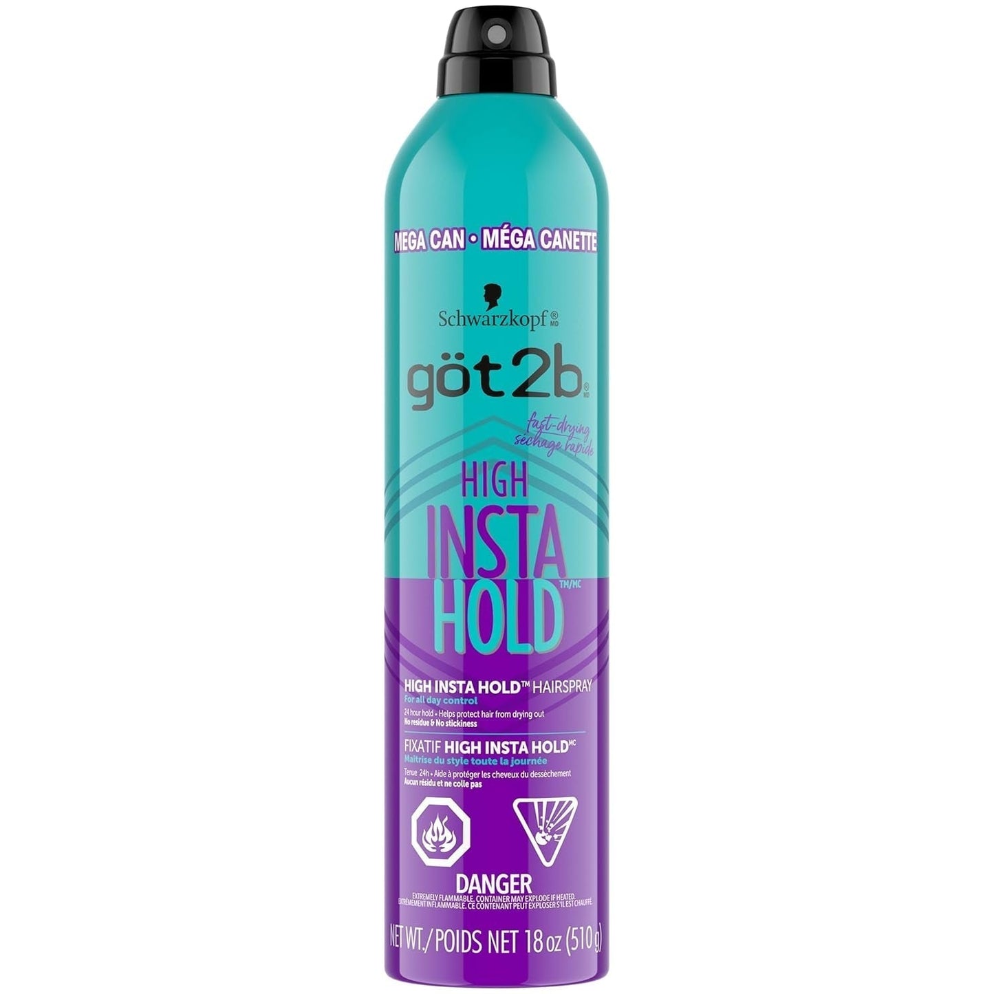 High Hold Hair Spray Mega Can, 18 Oz - WORLD TIME VISITS