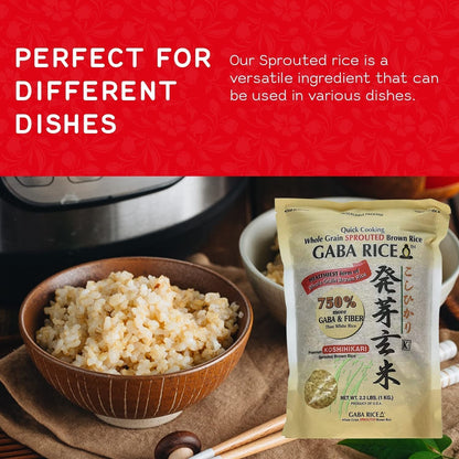 Koshihikari Premium Sprouted Brown Gaba Rice, 2.2 Pound (Pack of 4)