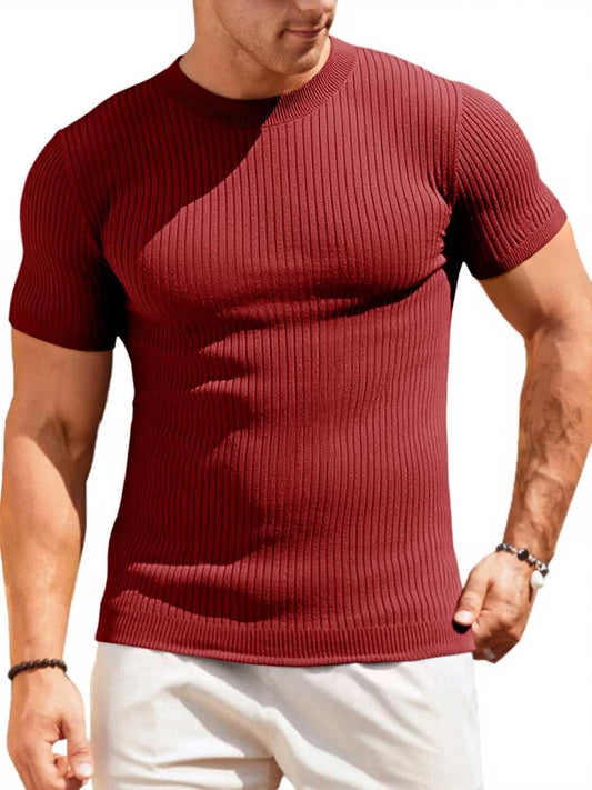 Mens Casual Slim Fit Basic Tops Short Sleeve Shirt Turtleneck T Shirts Rib Knitted Stretch Pullover Sweater - WORLD TIME VISITS