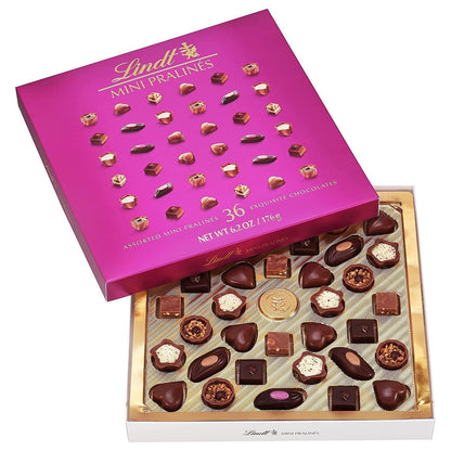 Mini Pralines, Assorted Chocolate Pralines with Premium Filling, Great for Gift Giving, 6.2 Oz Box